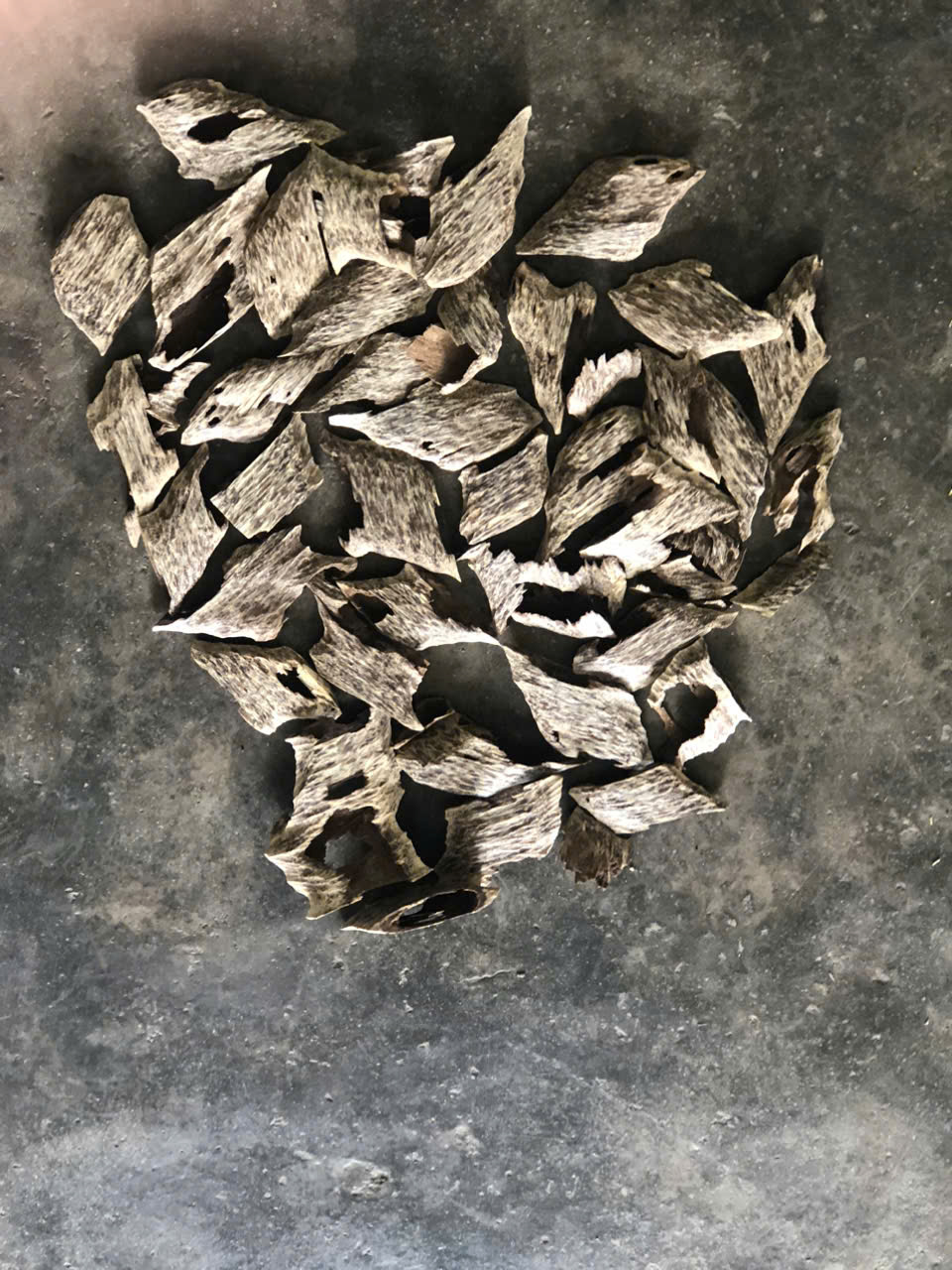 Nụ trầm hương